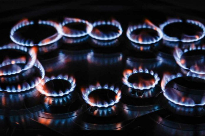 Bonus luce e gas: italiani soddisfatti con una bellissima notizia per i prossimi mesi | Grantennis Toscana