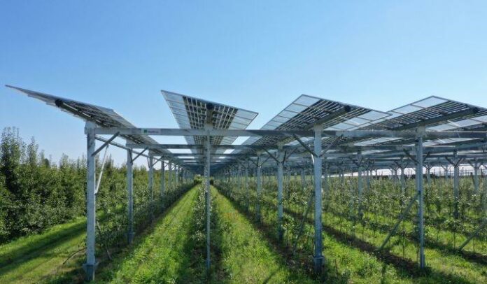 Agrivoltaico, Puglia: €50 mln per 75 nuovi progetti regionali